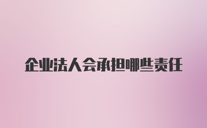 企业法人会承担哪些责任