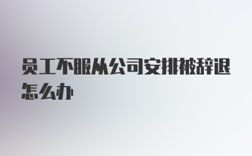 员工不服从公司安排被辞退怎么办