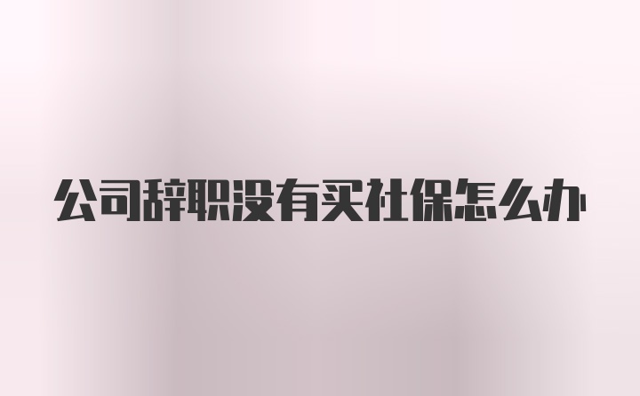 公司辞职没有买社保怎么办