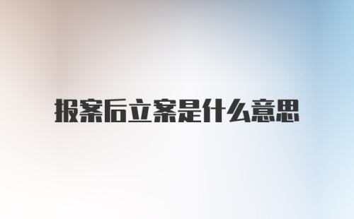 报案后立案是什么意思