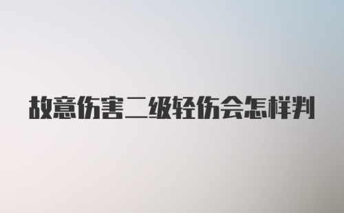 故意伤害二级轻伤会怎样判