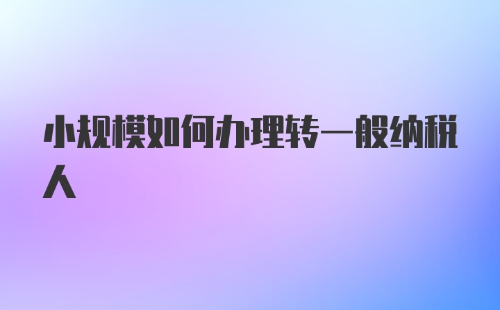 小规模如何办理转一般纳税人