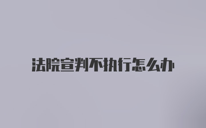 法院宣判不执行怎么办