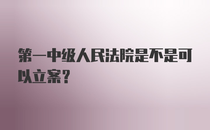 第一中级人民法院是不是可以立案？