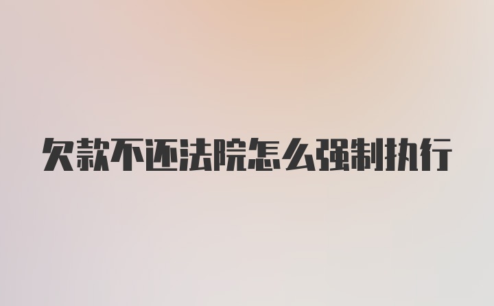 欠款不还法院怎么强制执行