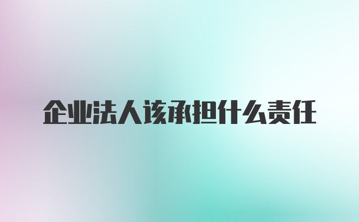 企业法人该承担什么责任