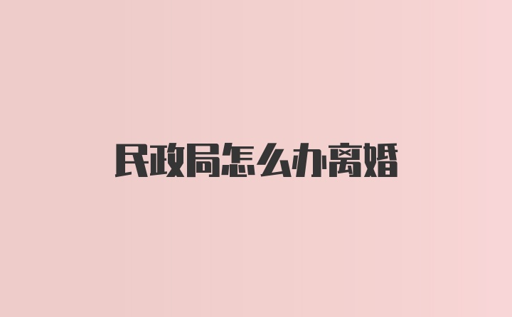 民政局怎么办离婚