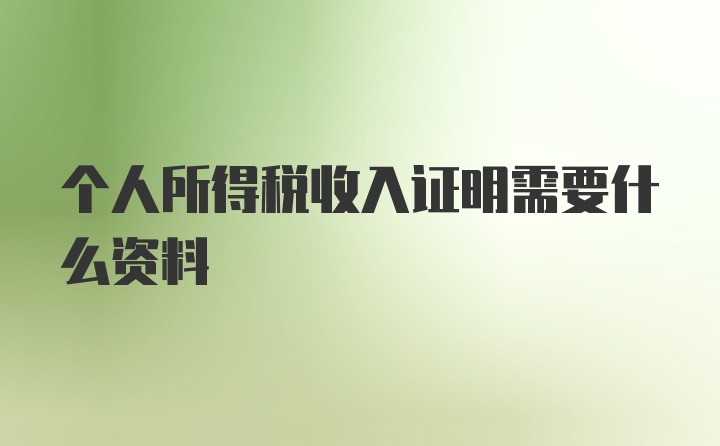 个人所得税收入证明需要什么资料