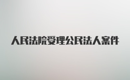 人民法院受理公民法人案件