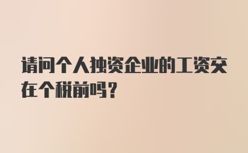 请问个人独资企业的工资交在个税前吗？