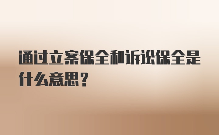 通过立案保全和诉讼保全是什么意思?