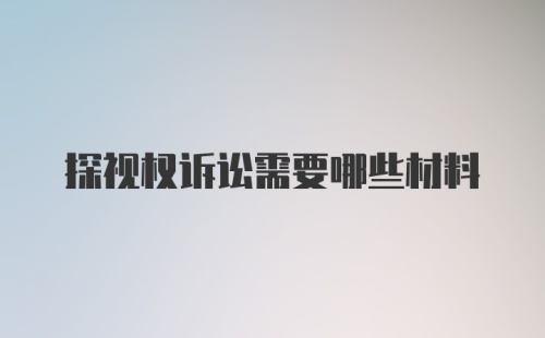 探视权诉讼需要哪些材料