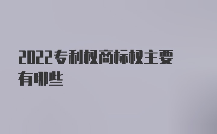 2022专利权商标权主要有哪些