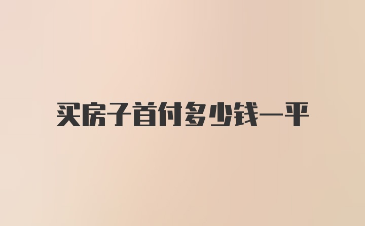 买房子首付多少钱一平