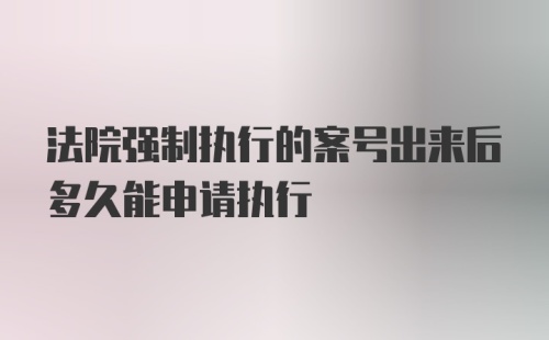 法院强制执行的案号出来后多久能申请执行