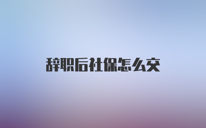 辞职后社保怎么交