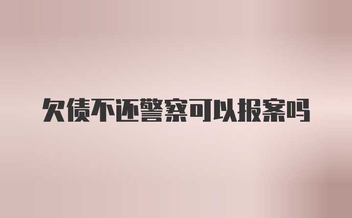 欠债不还警察可以报案吗