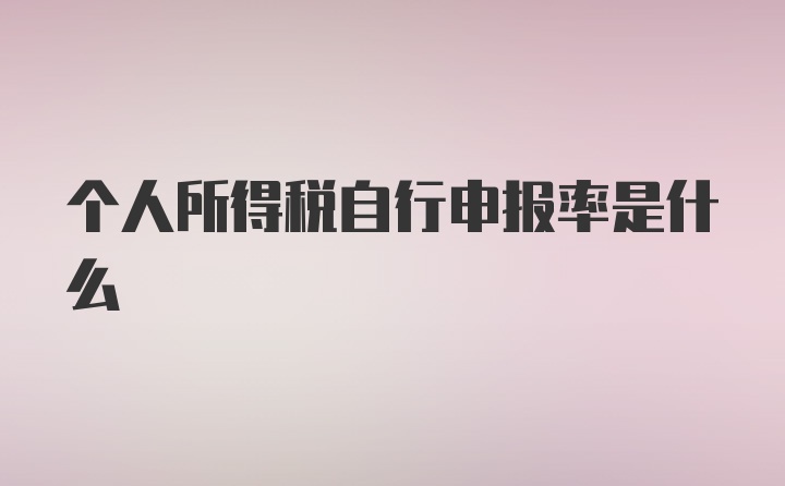 个人所得税自行申报率是什么