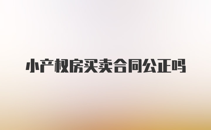 小产权房买卖合同公正吗