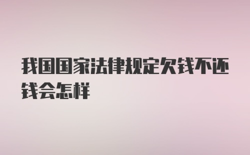 我国国家法律规定欠钱不还钱会怎样