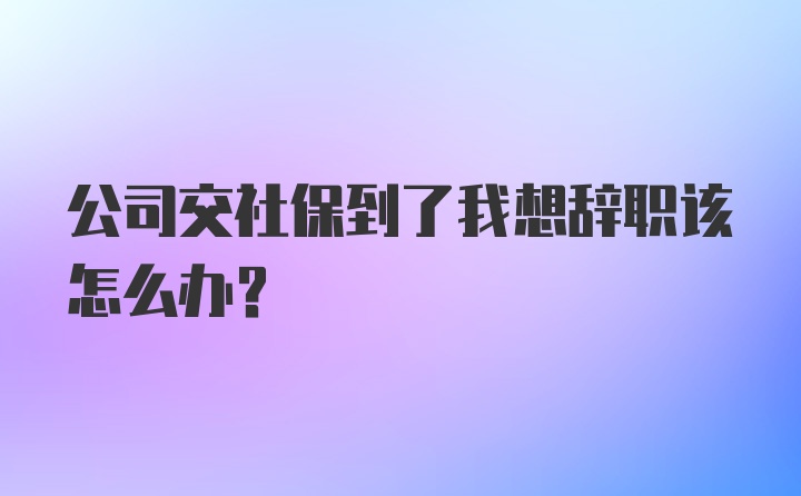 公司交社保到了我想辞职该怎么办？