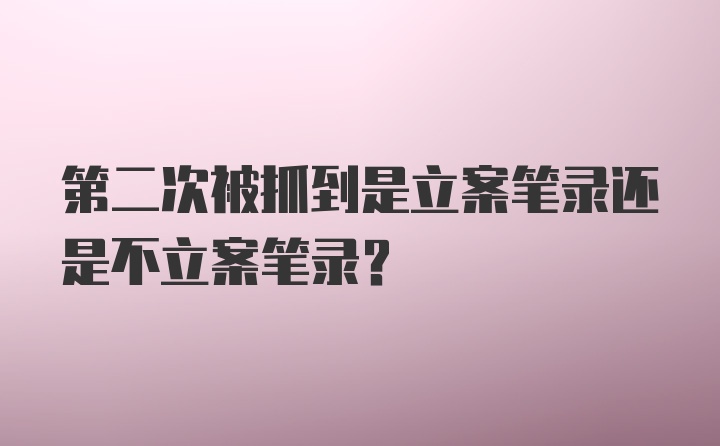 第二次被抓到是立案笔录还是不立案笔录？