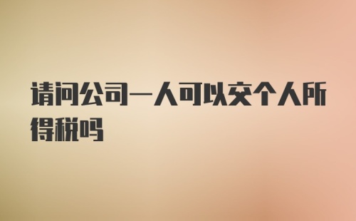 请问公司一人可以交个人所得税吗