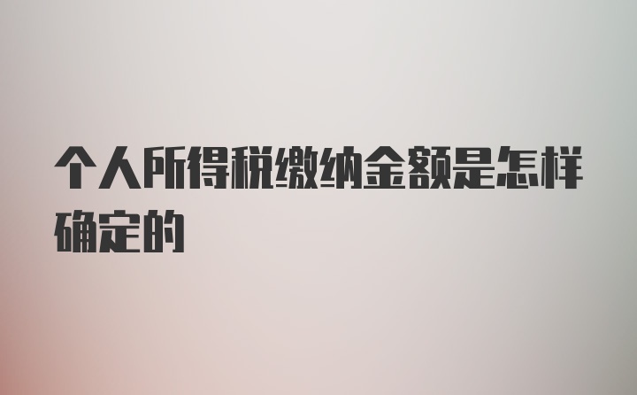 个人所得税缴纳金额是怎样确定的