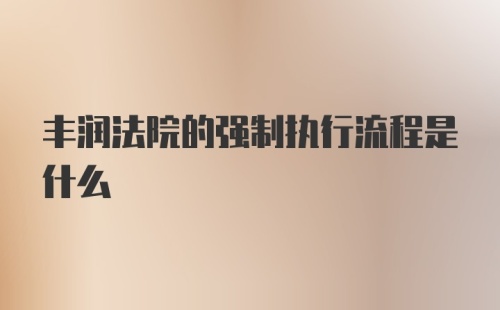 丰润法院的强制执行流程是什么