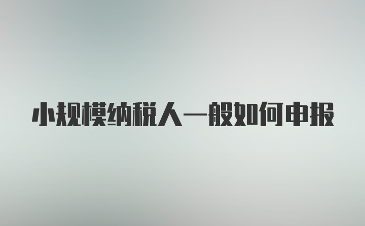 小规模纳税人一般如何申报