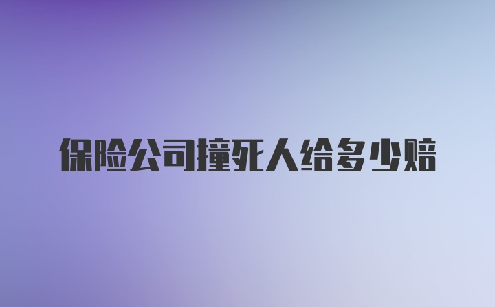 保险公司撞死人给多少赔