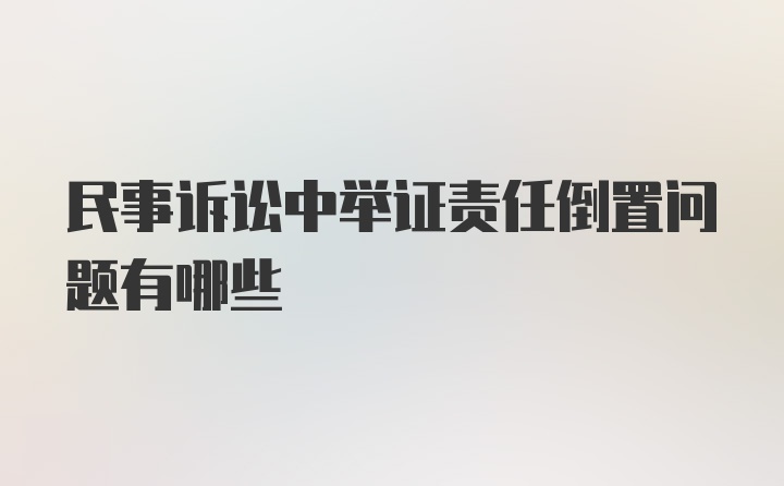 民事诉讼中举证责任倒置问题有哪些