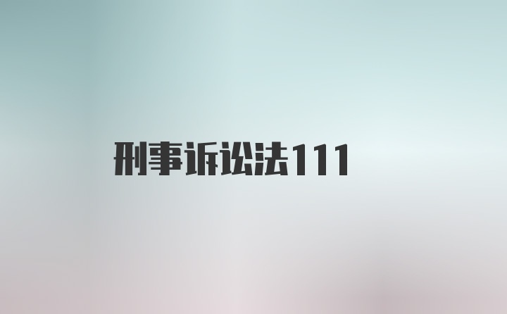 刑事诉讼法111