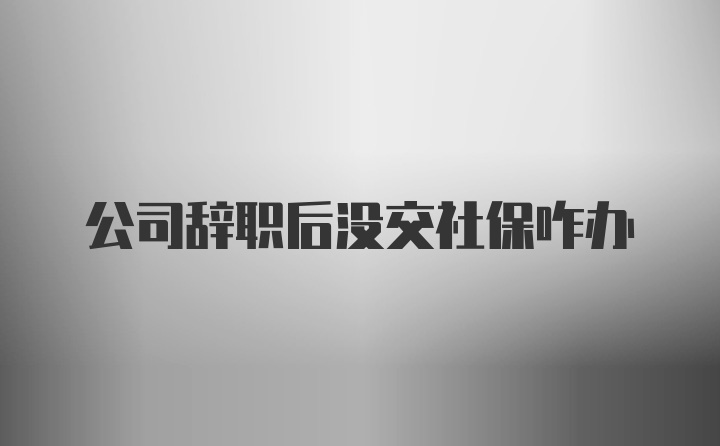 公司辞职后没交社保咋办