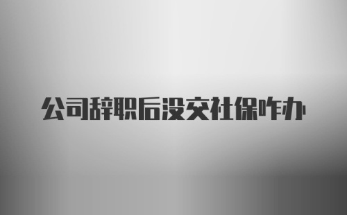 公司辞职后没交社保咋办