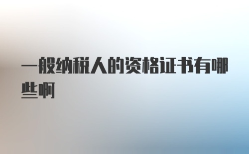 一般纳税人的资格证书有哪些啊