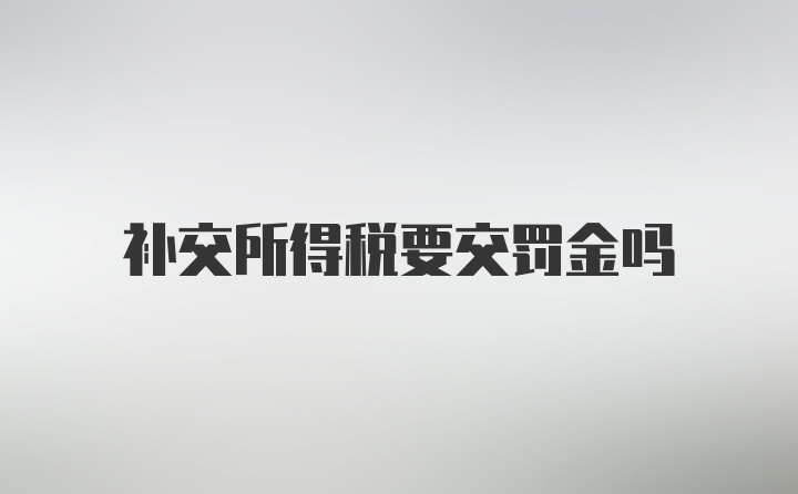 补交所得税要交罚金吗