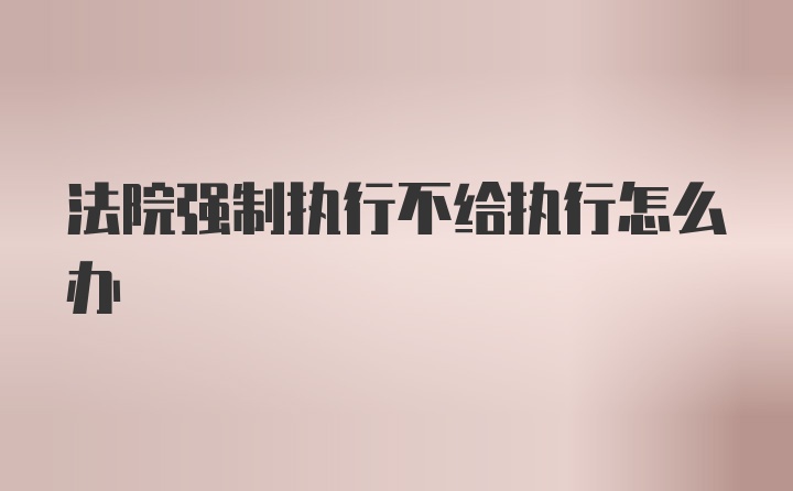 法院强制执行不给执行怎么办