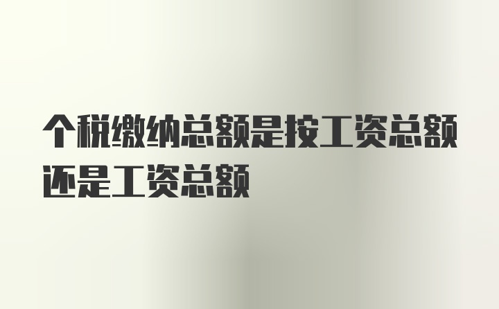 个税缴纳总额是按工资总额还是工资总额