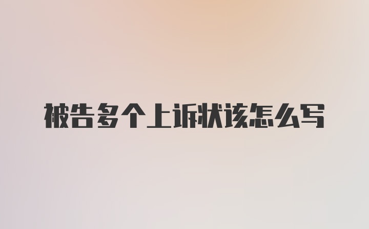 被告多个上诉状该怎么写