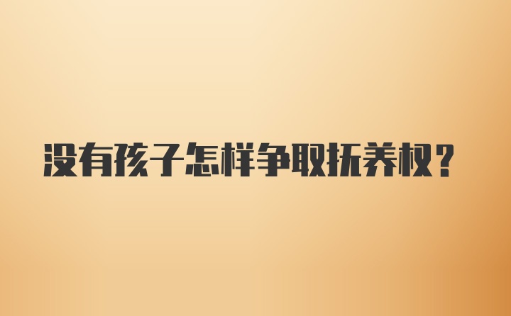 没有孩子怎样争取抚养权？