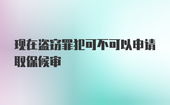 现在盗窃罪犯可不可以申请取保候审