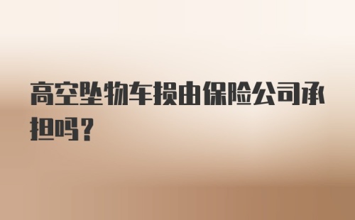 高空坠物车损由保险公司承担吗？