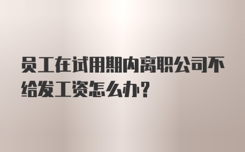 员工在试用期内离职公司不给发工资怎么办？