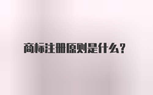 商标注册原则是什么?