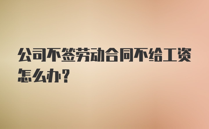 公司不签劳动合同不给工资怎么办？