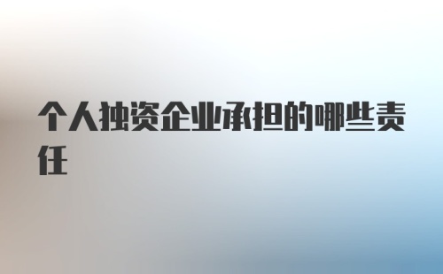 个人独资企业承担的哪些责任