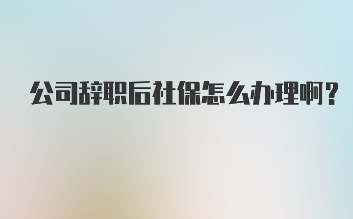 公司辞职后社保怎么办理啊？