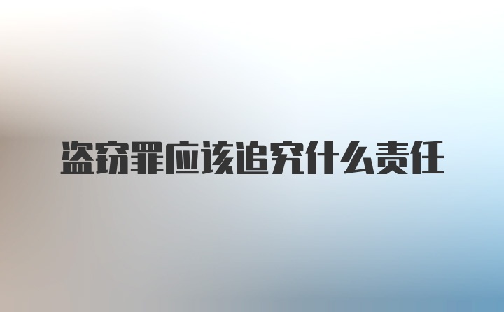 盗窃罪应该追究什么责任