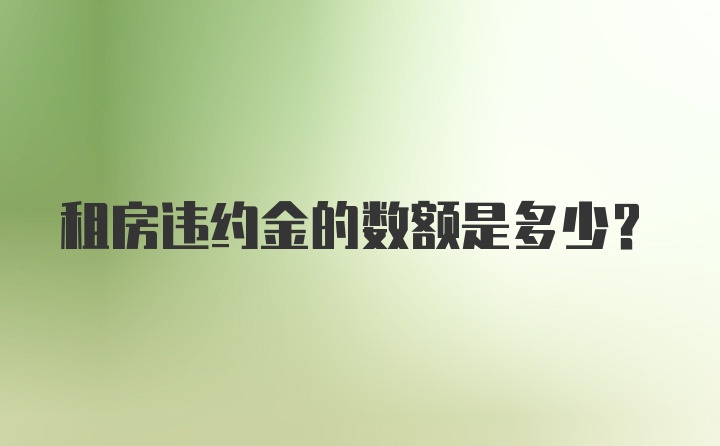 租房违约金的数额是多少？